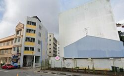 PETAIN RD/TYRWHITT RD CONSERVATION AREA (D8), Shop House #497087521